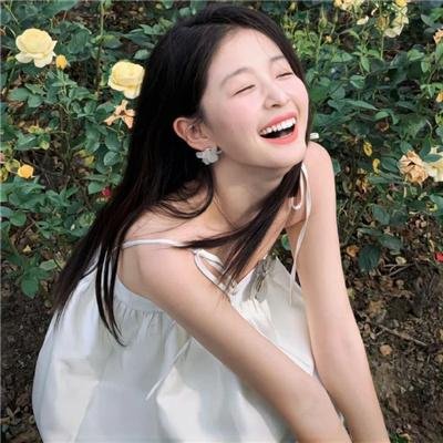 光荣之路上的狗